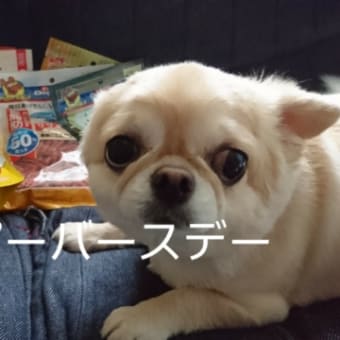 ハッピーバースデー三冬