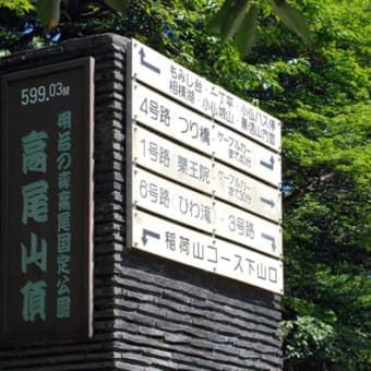 涼を求めて高尾山へ