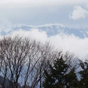 桜めぐりの休日
