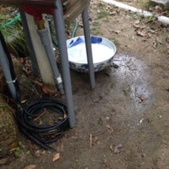 芝の張り替え#８ 井戸水増圧ポンプ施工