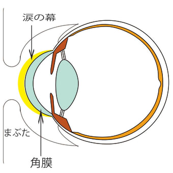 コンタクトレンズが眼に与える影響.3