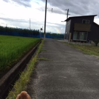 夏休みも　あとわずかとなりました