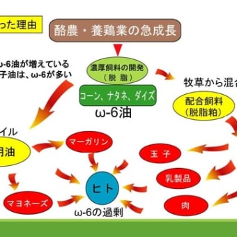 自然との調和を大切に 対症療法ではない漢方治療