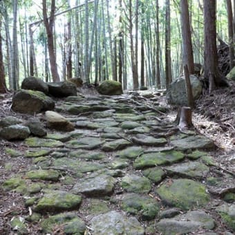 #9446 熊野古道伊勢路（お伊勢さん夫婦旅行_13）