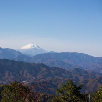 紅葉の高尾山