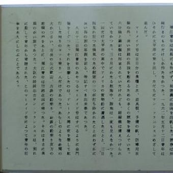 米国一人旅（１０）：観光（１）：ナイヤガラ瀑布とボストン美術館