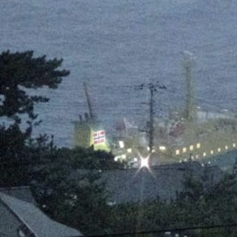 伊豆諸島８島制覇の旅《後編》　八丈島・御蔵島・三宅島・伊豆大島４島めぐり　１０回目　御蔵島