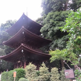2017年6月27日　火曜日　「椿山荘」②