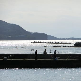 静岡県 in ドクターイエロー　１