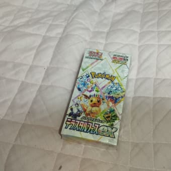 久々にポケカの話をしようか、いやいや苦言ばかりではない愛はあるよ、相方にはね？