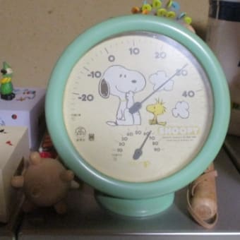また増えて子ツバメは５羽♬そして？