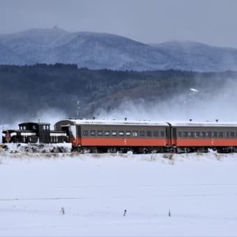2021年を良い年にするべく、頑張り走る DD352