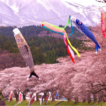 桜2018