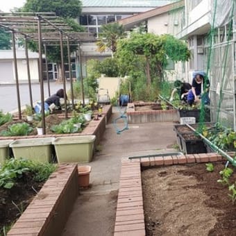 高島第五小学校で苗を植えました