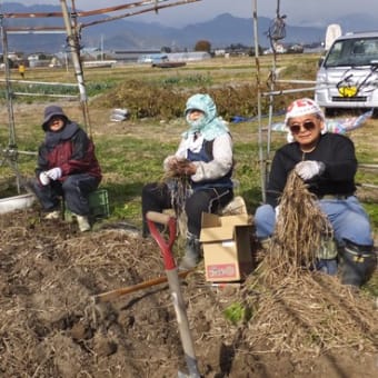 11月16日（土）　ちょっと忙しい日が続きました