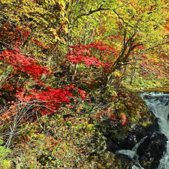 大滝の三階滝の紅葉