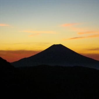 南アルプス南部・上河内～光岳縦走