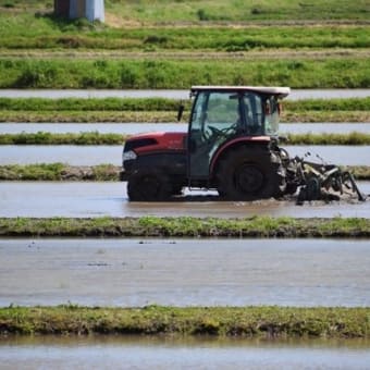 田植えの準備
