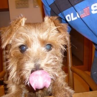 Happy Birthday !! Chip ♪