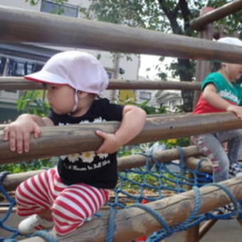 しろ　１歳児　絵本☆戸外遊び