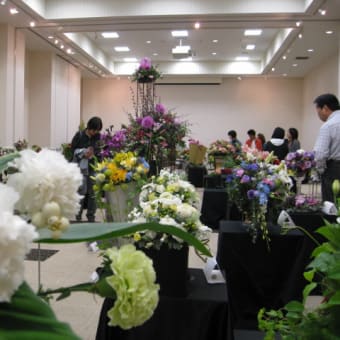 セファ大花展・イオンモール浜松志都呂で開催されました。