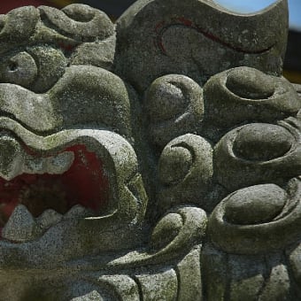 次男のお宮参り at 大縣神社