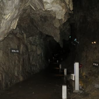 東北ツーリング7 岩手県浄土ケ浜～震災遺構～龍泉洞へ