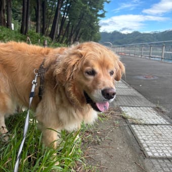 お彼岸