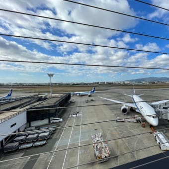 新潟へ自転車担いで空の旅