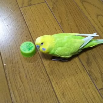 しわ寄せが。