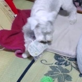 台風一過