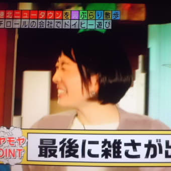 発泡スチロールで…