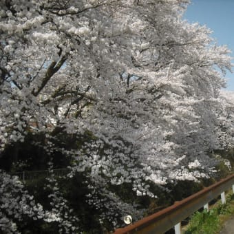 年月日　忘れて生きる　不便なし　聞かれて不便　認知の試験