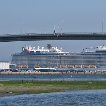 クァンタム・オブ・ザ・シーズ！広島初入港！！