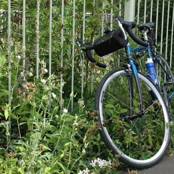 1年ぶりに自転車に乗る。