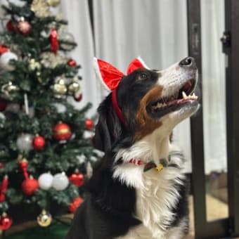 クリスマス☆