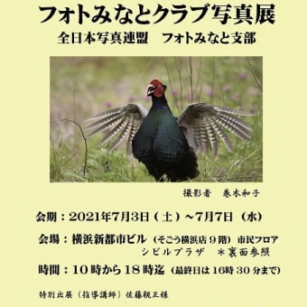 フォトみなとクラブ写真展開催(2021-7-3～7-7)のお知らせ