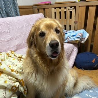 月命日