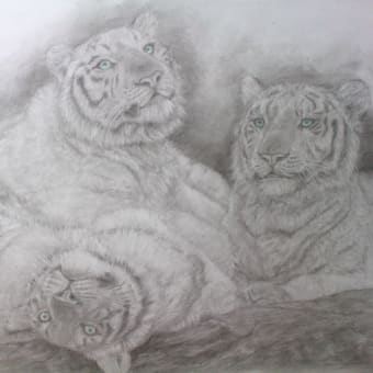 画像一覧 動物 絵ブログ 画像一覧 動物 絵ブログ