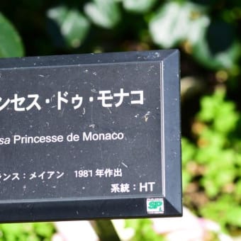 プリンセス・ドゥ・モナコ　　Princesses de Monaco   【HT】