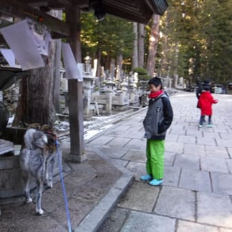 12月30日　護摩山で雪遊び　秋田犬2頭＋3人