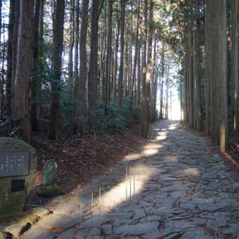 山中城址と箱根旧街道