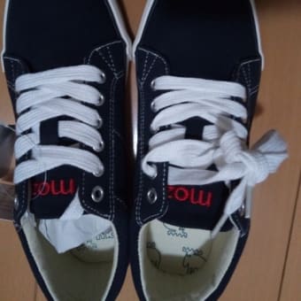 買ったもの　捨てたもの　2019-3