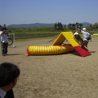 交流会