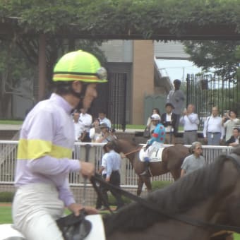 新潟競馬場観戦記③