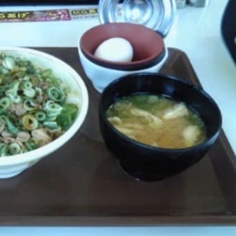 そう言えば「ねぎ玉牛丼」食べたことなかった・・・。