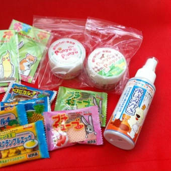 2012ジャパンペットフェア