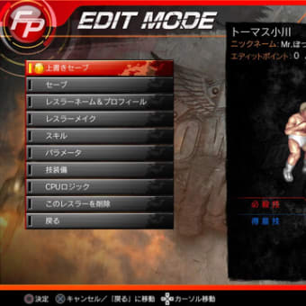 新作プロレスゲームへの個人的希望 ファイプロとプロレスと私 新作プロレスゲームへの個人的希望 ファイプロとプロレスと私