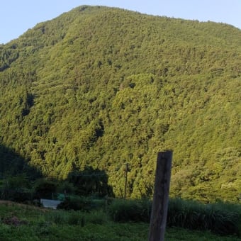 令和7年6月29日・今朝の東祖谷19℃（17.4℃）