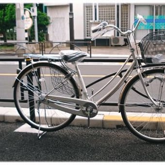 ★ホダカ＊ポロネート＊27インチ＊シングル＊LEDオートライト＊BAA入荷しました!!
